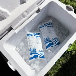 Bulk Dry Ice Packs