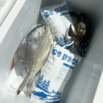 Fish Box Dry Ice Packs for Seafood Shipping – Ensure Freshness and Compliance