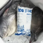 Effective Use of Dry Ice Pack Coolers for Cold Chain Logistics in 2025