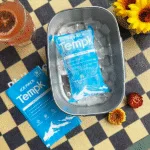 Envio de frutos do mar em folha de gelo seco: Como garantir frescor Dry Ice Pack Sheet Seafood Shipping: How to Ensure Freshness