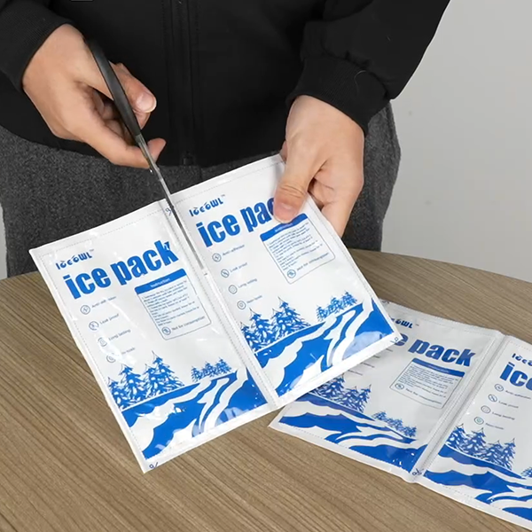 Large Dry Ice Packs