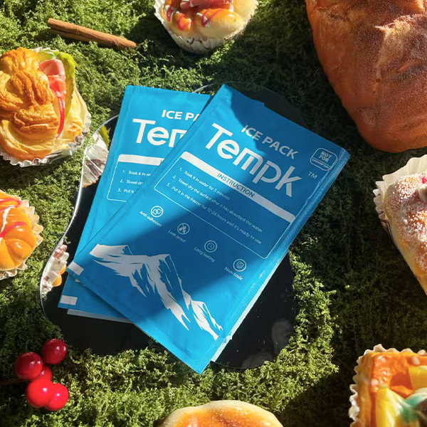 Camping Dry Ice Pack