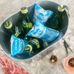 How to Use Cold Chain Dry Ice Pack for Shipping Temperature-Sensitive Goods