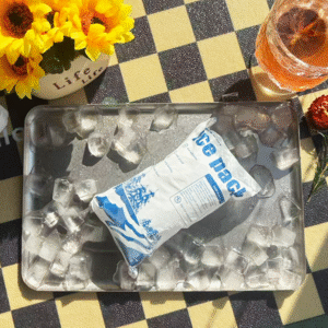 Near Me Dry Ice Pack