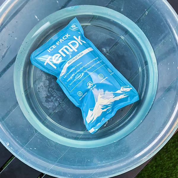 Walmart Dry Ice Packs