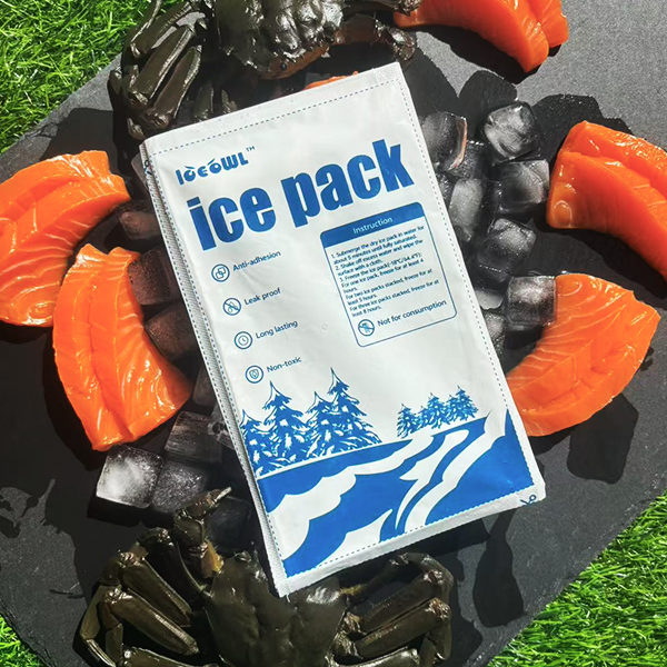 Medical Supply Dry Ice Packs