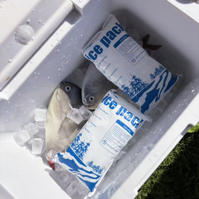 100 Dry Ice Ice Pack