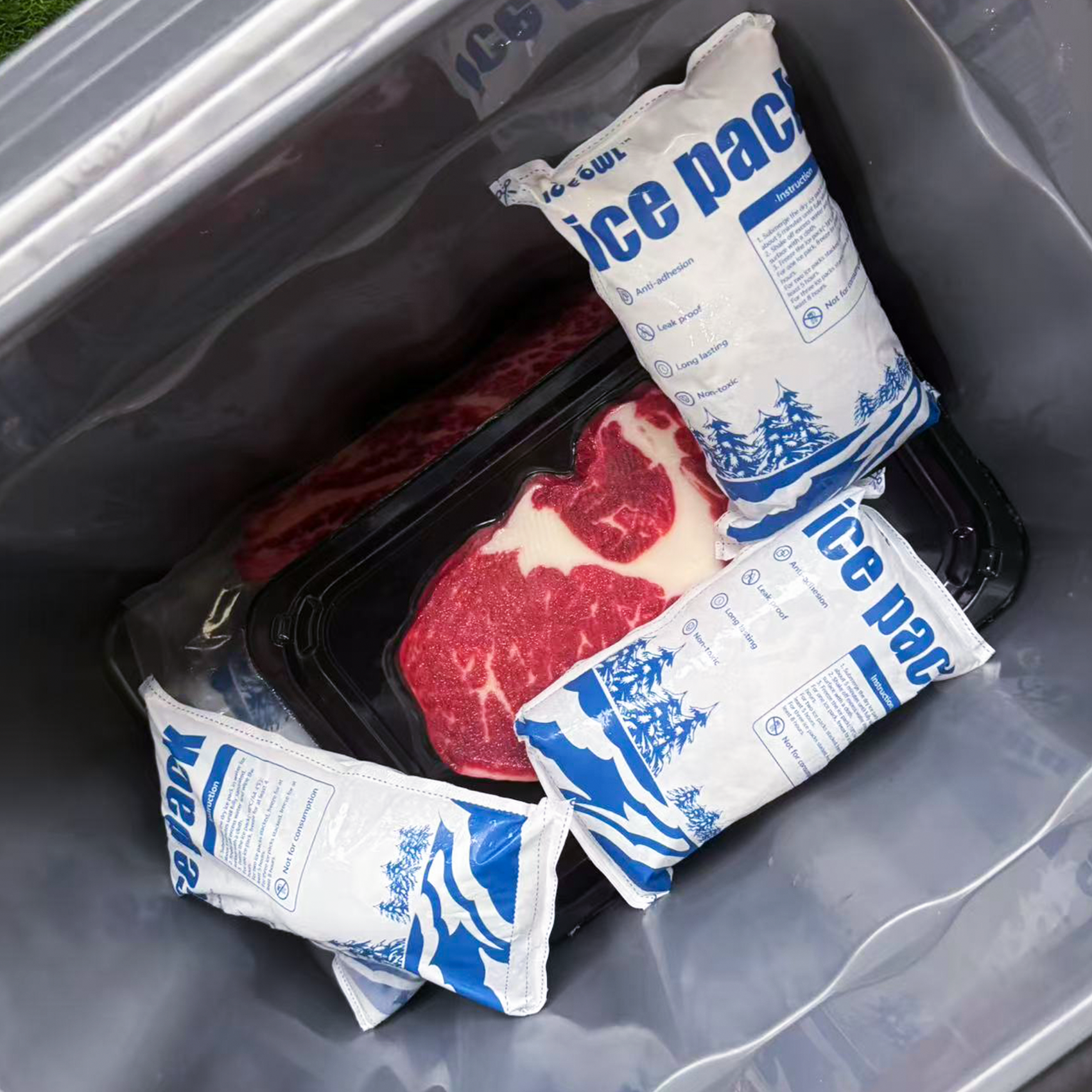 Dry Ice Pack Next Day Shipping