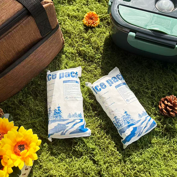 Dry Ice Alternative Dry Ice Pack