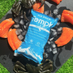 How Do Frozen Food Dry Ice Packs Improve Cold Chain Shipping?