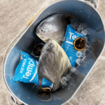 Frozen Food Dry Ice Packs – Best Practices for Safe Shipping