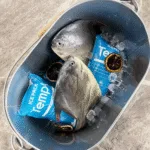 Frozen Food Dry Ice Packs – Best Practices for Safe Shipping