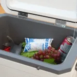 Quarantine Dry Ice Packs: Ensuring Safe Transport of Temperature-Sensitive Goods