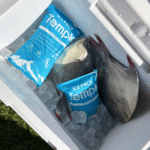 Dry Ice Supplier Dry Ice Pack: How to Choose in 2025