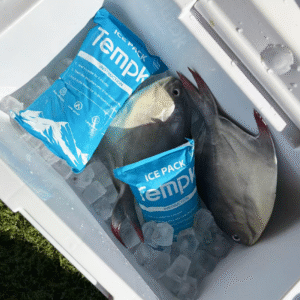Supplier Dry Ice Pack