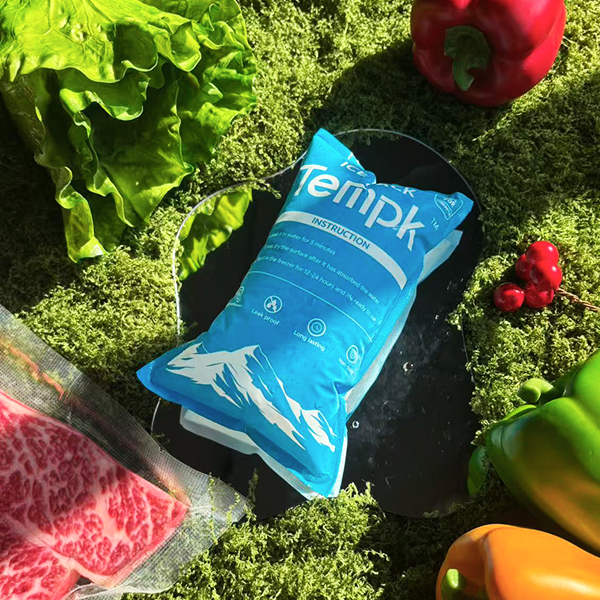 Insulated Dry Ice Pack