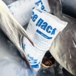 Dry Ice Pack Sheets for Overnight Shipping: Essential Tips for Safe Transport Dry Ice Pack Sheets for Overnight Shipping: Essential Tips for Safe Transport