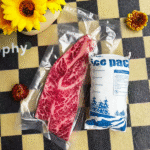 Refrigerant Dry Ice Ice Packs: Solusi rantai dingin terbaik untuk 2025