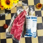 Refrigerant Dry Ice Ice Packs: The Ultimate Cold Chain Solution for 2025
