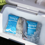Dry Ice Supplier vs Ice Pack: 2025 Buyer’s Guide