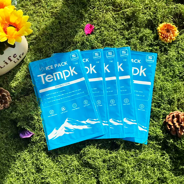 Dry Ice Packs Lunch Box