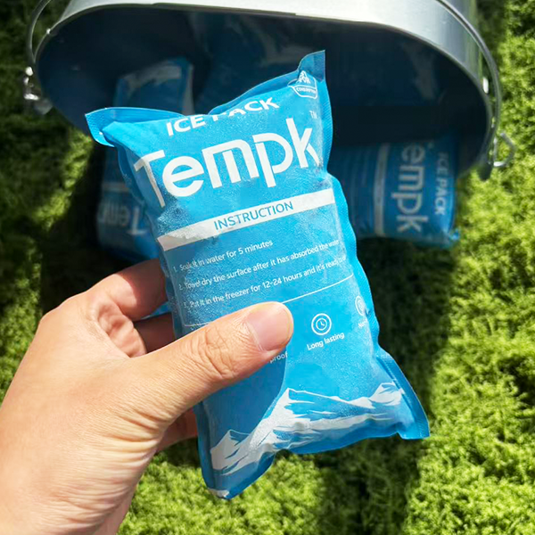Dry Ice Bag vs Dry Ice Packs: Mastering Cold Chain in 2025 2