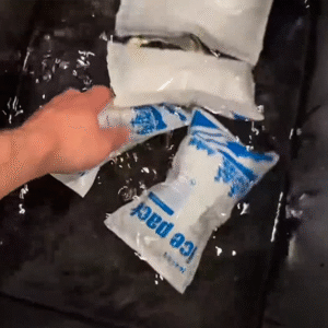 Next Day Dry Ice Pack