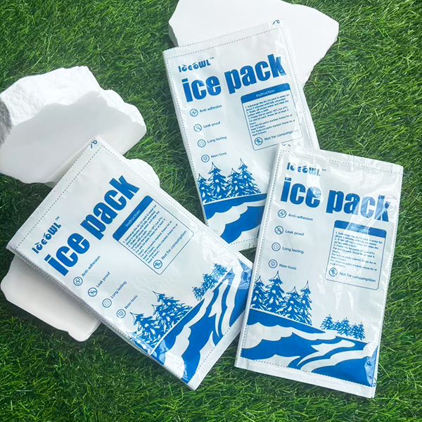 Cooler Dry Ice Pack