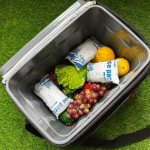 Vacuum Sealed Dry Ice Packs for Reliable Cold Chain Shipping