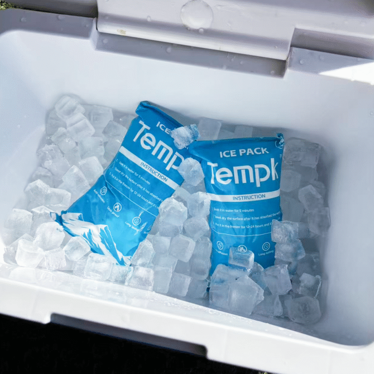 Cost Dry Ice Ice Pack
