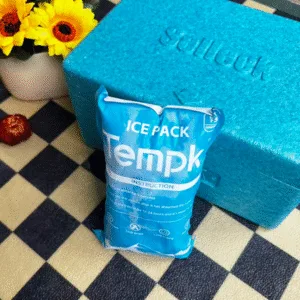 How Reusable packs de hielo seco Improve cadena de frío Efficiency in 2025