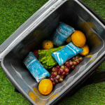 Ice Substitute Dry Ice Packs: Essential Cold Chain Solution for 2025