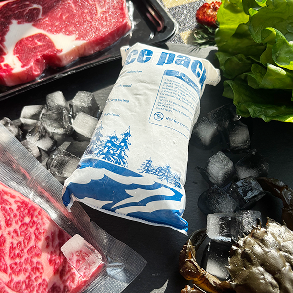 Flexible Ice Dry Ice Pack