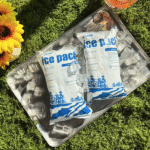 Eco Friendly Dry Ice Pack: What Works in 2025?