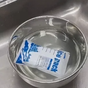 Same Day Dry Ice Packs