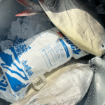 Nearby Dry Ice Packs: Where to Find Safe, Local Options