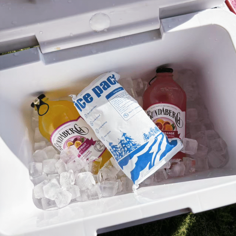 Price Dry Ice Ice Pack