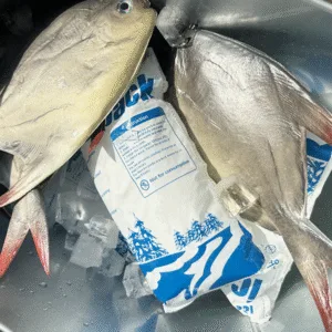 Europe Dry Ice Packs