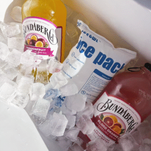 Paket 24 Dry Ice Ice Pack