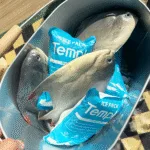 Pastikan keamanan pangan dengan kemasan es kering dan lembaran kantong es kering Ensure food safety with dry ice packaging and dry ice pack sheets