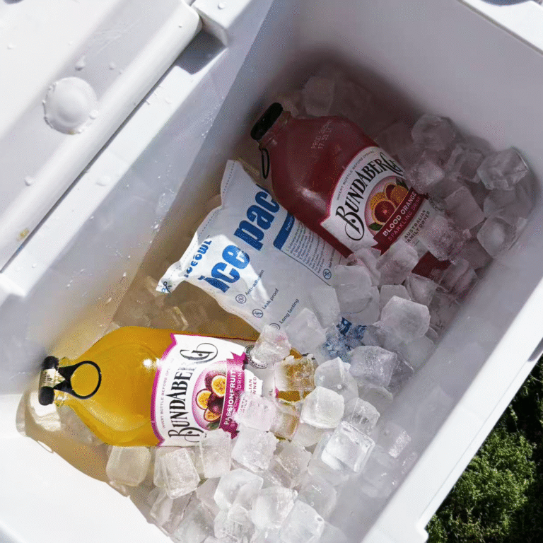 Costco dry ice packs