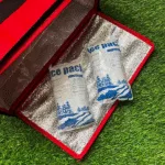 Self-Cooling Dry Ice Packs: The Future of Sustainable Cold Chain Logistics