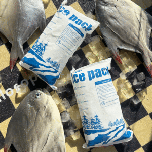 dry ice alternative dry ice pack