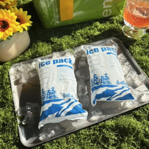 Kitchen Dry Ice Packs