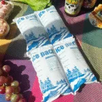 24 Hour Dry Ice Packs: 2025 Cold Chain Guide