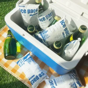 Portable Dry Ice Pack