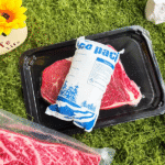 How Do Reusable Gel Dry Ice Packs Transform Cold Chain Logistics?