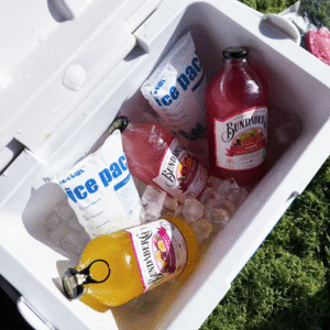 10 lb dry ice bag