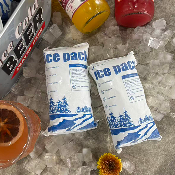 Dry Ice Foam & Ice Packs for Cold Chain Logistics | 2025 Guía 4