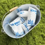 Eco Friendly Dry Ice Packs: Sustainable Cooling for 2025 Cold Chain Logistics